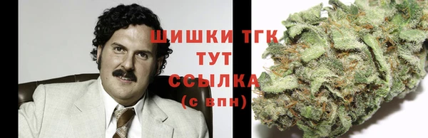 меф Ельня