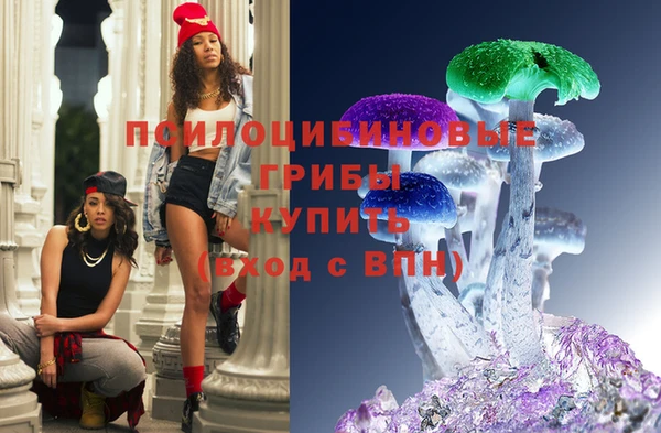 меф Ельня