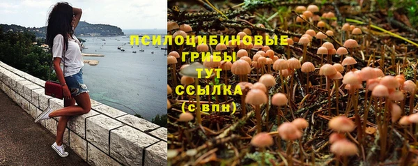 скорость mdpv Елабуга