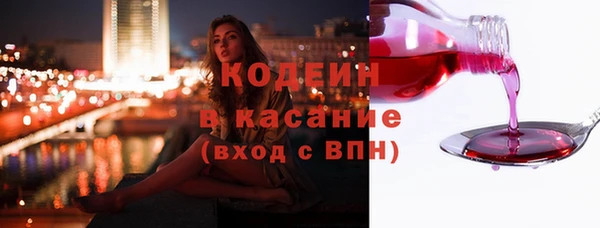 меф Ельня