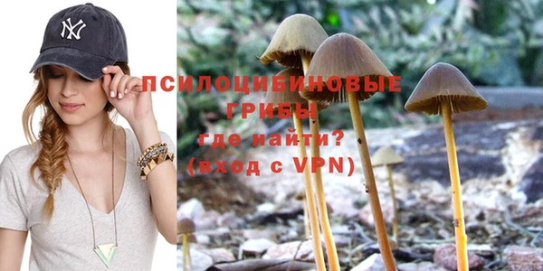 меф Ельня