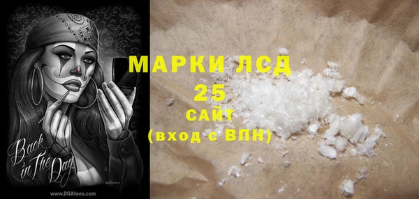 меф Ельня
