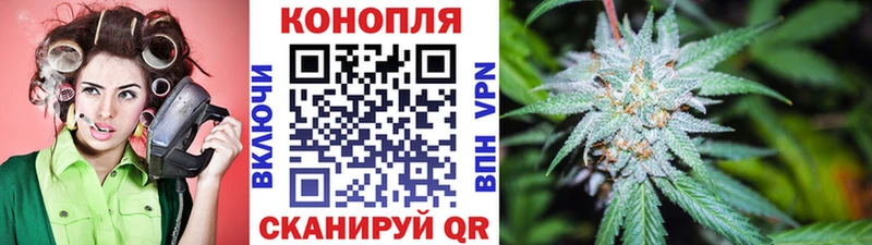 Канабис сатива  Юрьевец 